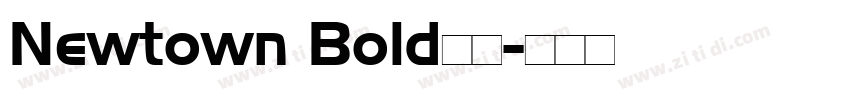 Newtown Bold字体字体转换